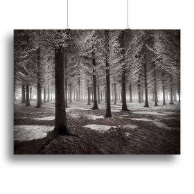 The Onset Of Winter Canvas Print or Poster (Type: Poster Print, size: 24" x 16" / 60cm x 40cm (approx))