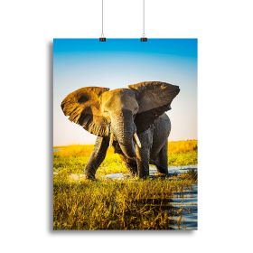 Elephant half wet in sunset light in Africa Canvas Print or Poster (Type: Poster Print, size: 32" x 24" / 80cm x 60cm (approx))