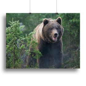 Bears and jar of honey in the forest Canvas Print or Poster (Type: Poster Print, size: 40" x 26" / 100cm x 65cm (approx))